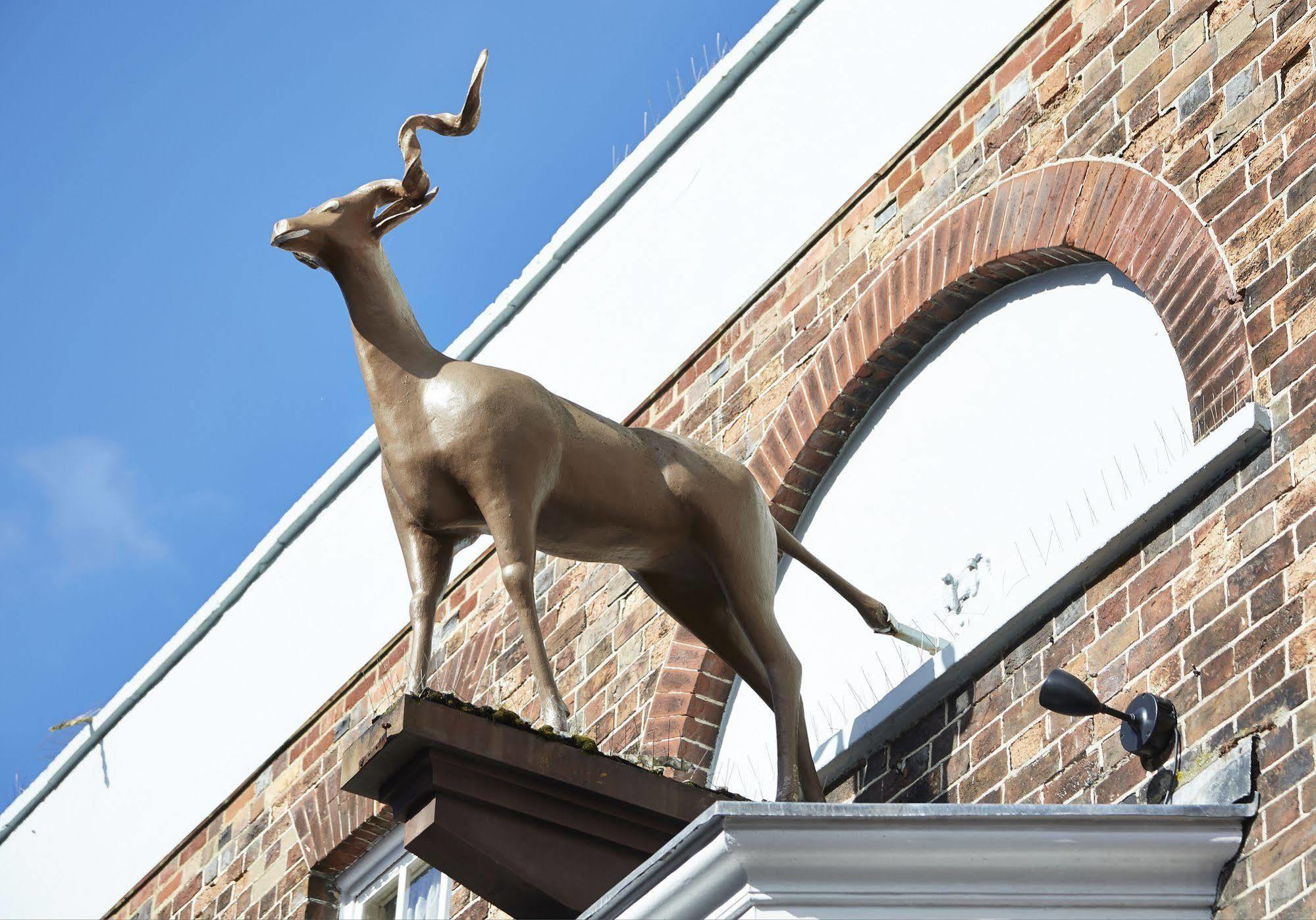 Antelope By Greene King Inns Poole Exteriér fotografie